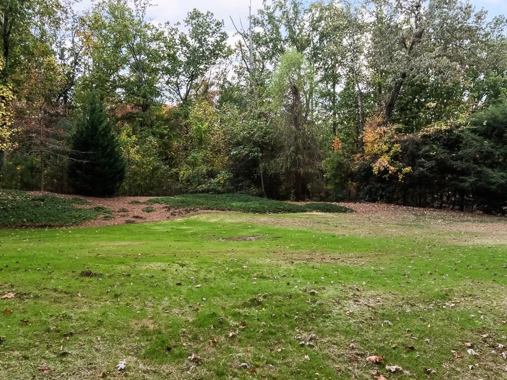 65 Maryeanna Drive, Sandy Springs, Georgia 30342, 5 Bedrooms Bedrooms, ,5 BathroomsBathrooms,Residential,Sold,65 Maryeanna Drive,5828436