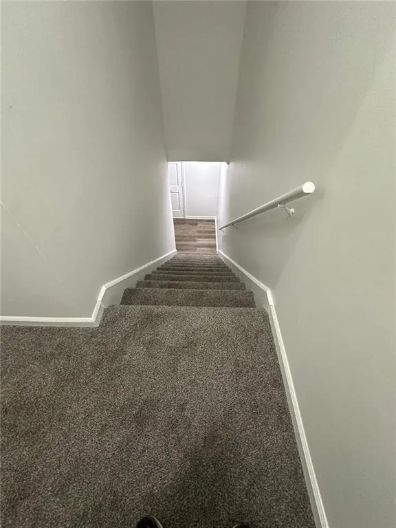 Staircase featuring carpet