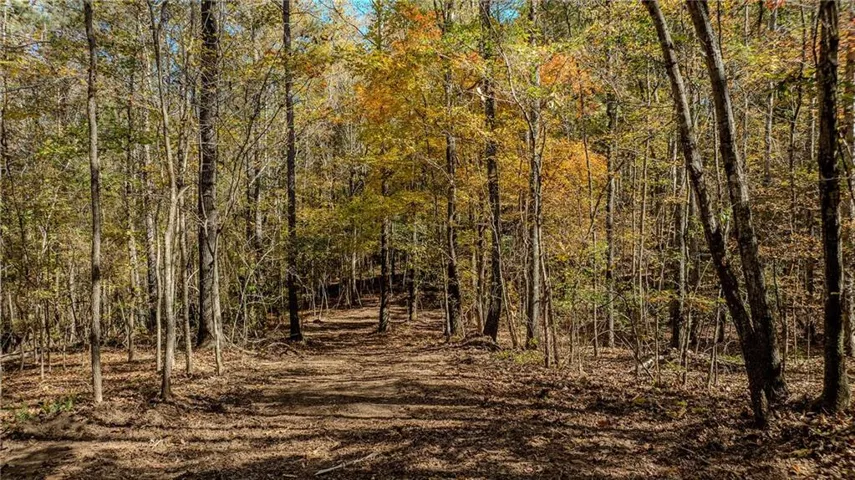 0 Jones Ferry Road, Chattahoochee Hills, Georgia 30268