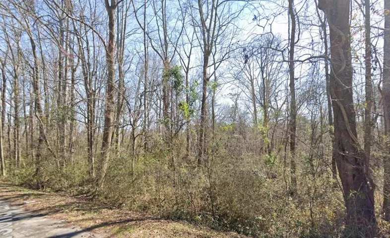 0 Parsons Lane, Sandersville, Georgia 31082