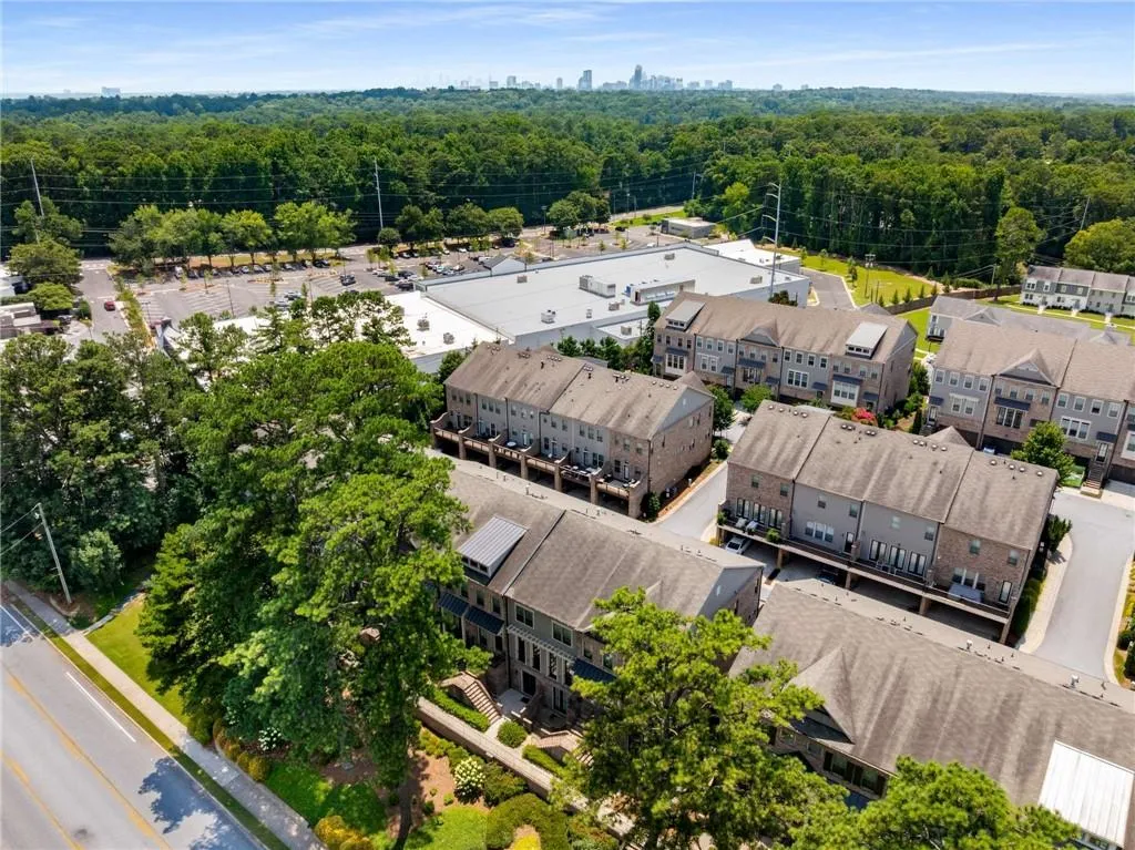 Bird's eye view of a forest