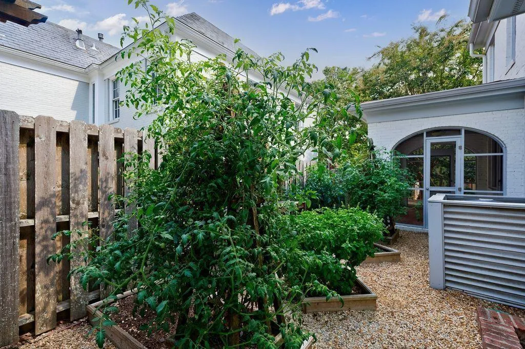 Vegetable Garden