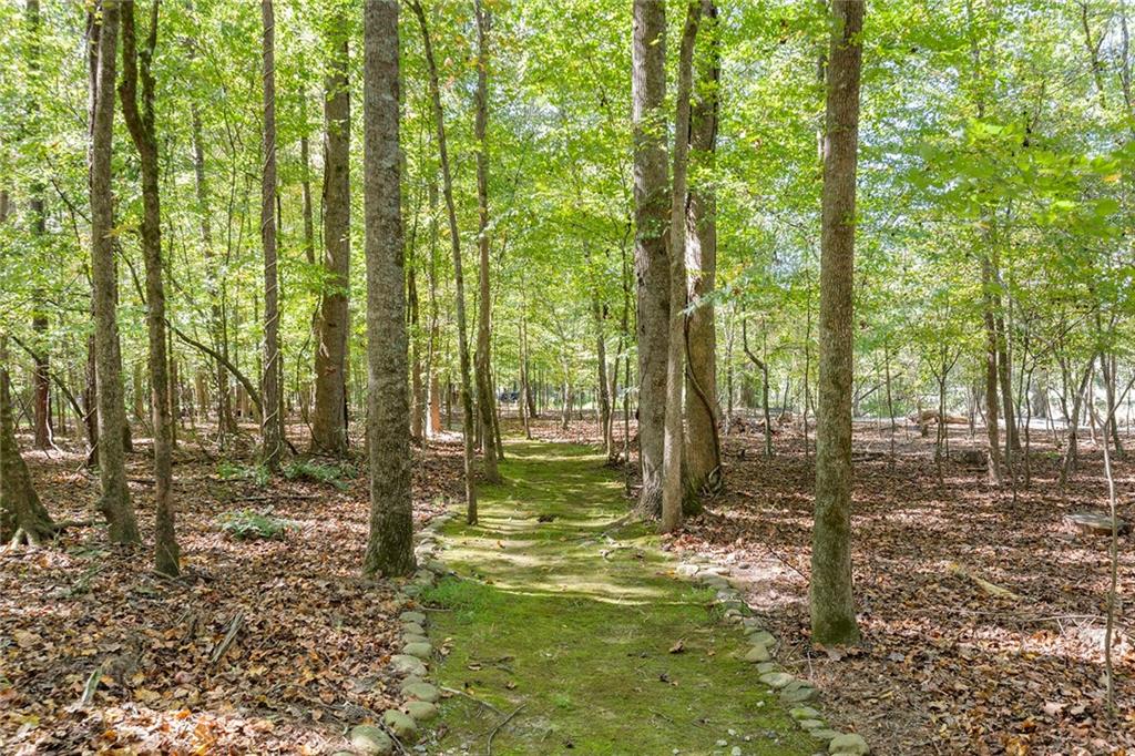 8390 Jett Ferry Road, Sandy Springs, Georgia 30350, 6 Bedrooms Bedrooms, ,6 BathroomsBathrooms,Residential,Sold,8390 Jett Ferry Road,7286534