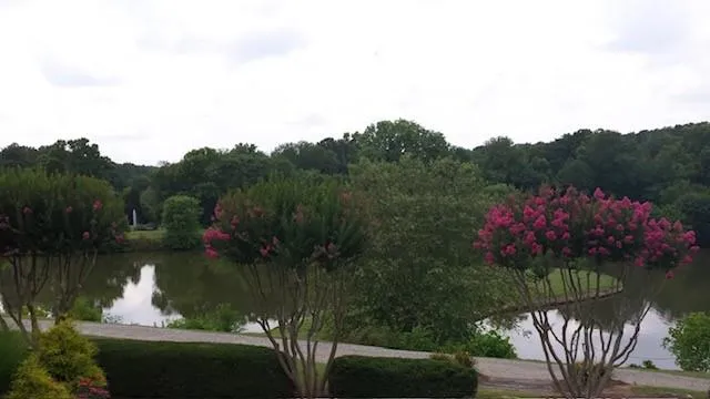 Beautiful Lake view