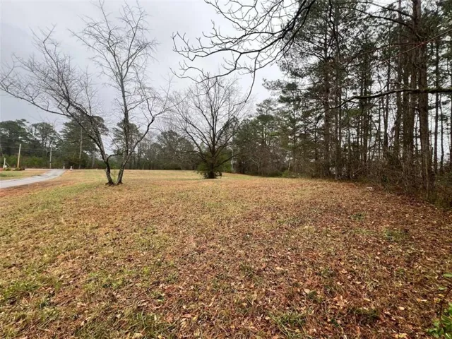 100 Lucinda Walk, South Fulton, Georgia 30349