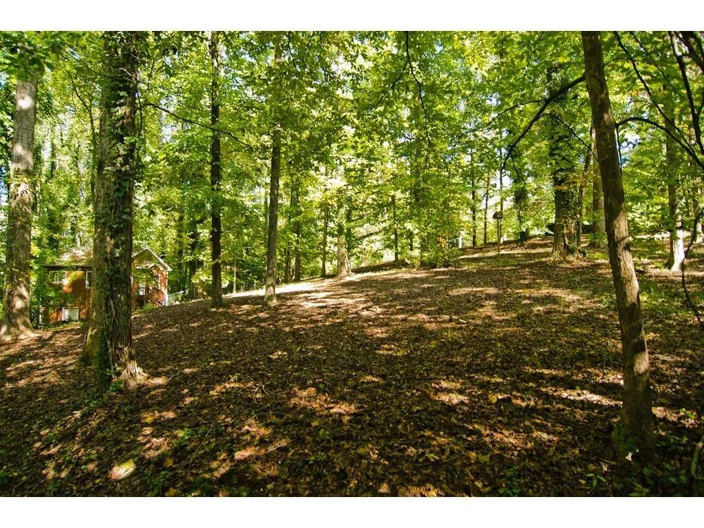 301 Londonberry Road, Atlanta, Georgia 30327, 4 Bedrooms Bedrooms, ,4 BathroomsBathrooms,Residential,Sold,301 Londonberry Road,5646074