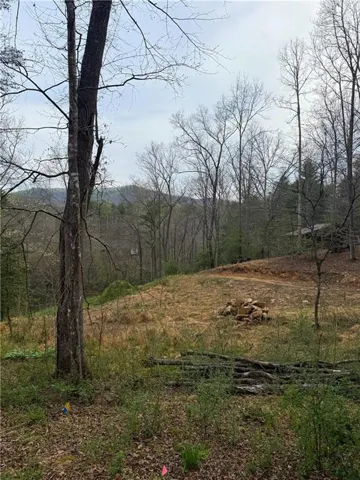 0 Holly Drive, Blairsville, Georgia 30512
