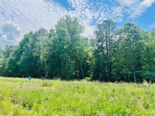 136 Daniel Ridge Sw, Cartersville, Georgia 30120