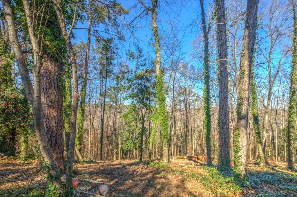 4011 Pinehill Place Nw, Atlanta, Georgia 30342, ,Land,Sold,4011 Pinehill Place Nw,5590796