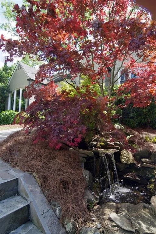 775 Wildwood Road Ne, Atlanta, Georgia 30324, 3 Bedrooms Bedrooms, ,2 BathroomsBathrooms,Residential,Sold,775 Wildwood Road Ne,5672667