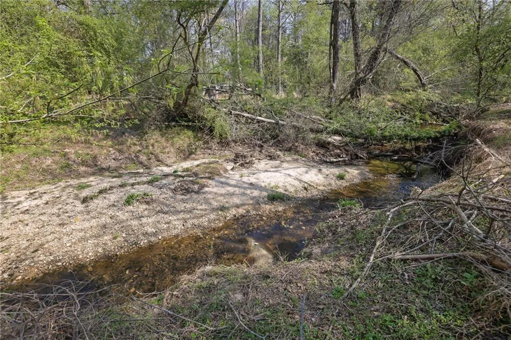 View of local wilderness