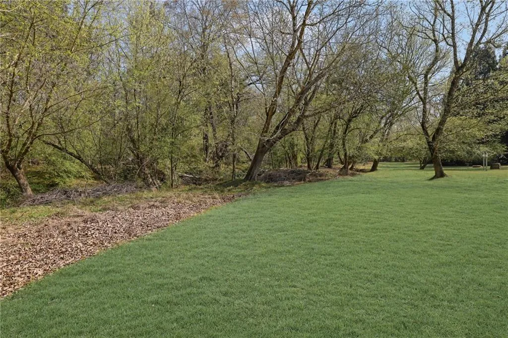 View of green lawn