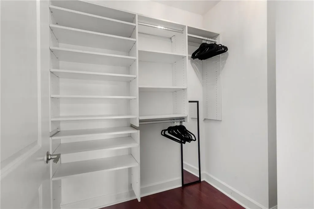 Spacious closet featuring dark wood finished floors