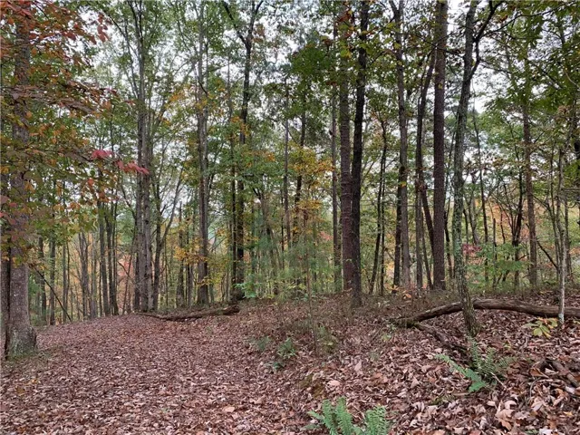 128 Adair Drive, Ranger, Georgia 30734