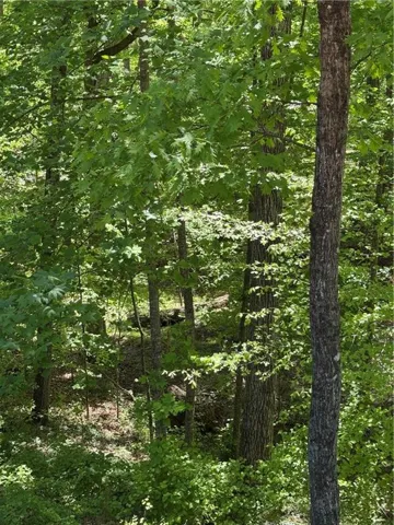0 Clark Drive, Alpharetta, Georgia 30004