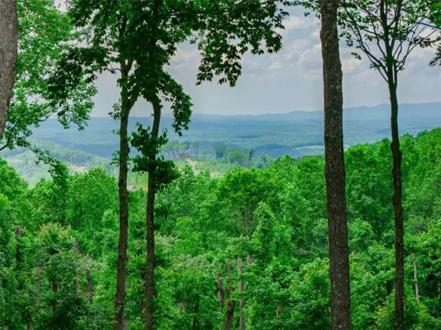 Lt 411 Calloway Mountain Road, Talking Rock, Georgia 30175