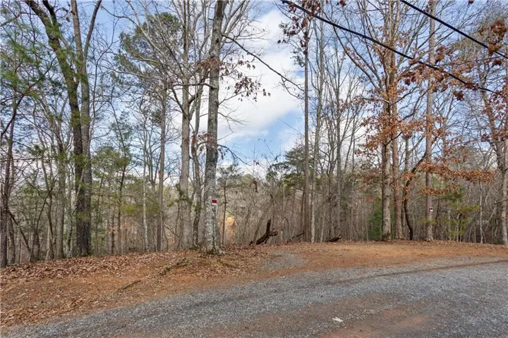 View of dirt / gravel road featuring a forest view