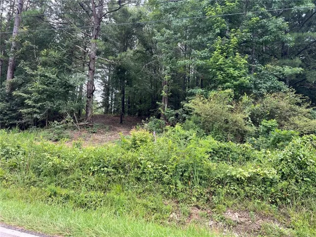 Wooded lot featuring mature trees and varied foliage