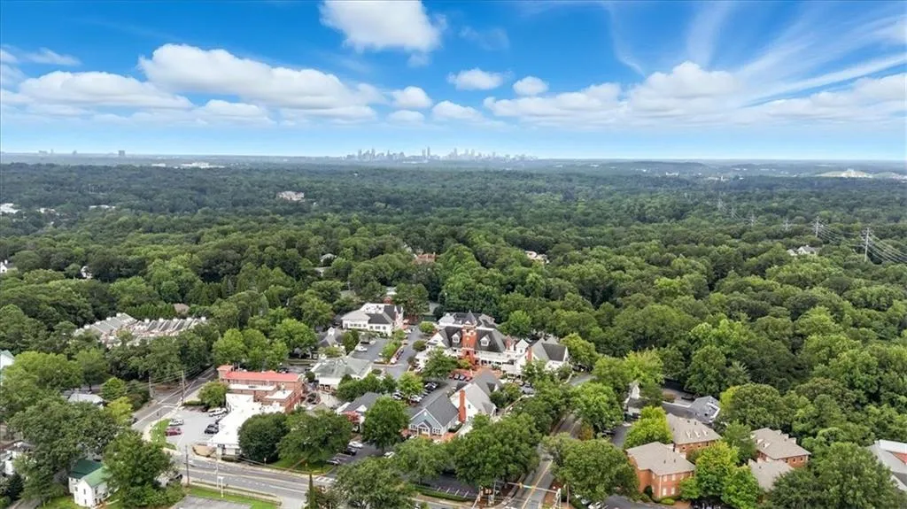 Aerial perspective of suburban area featuring a heavily wooded area