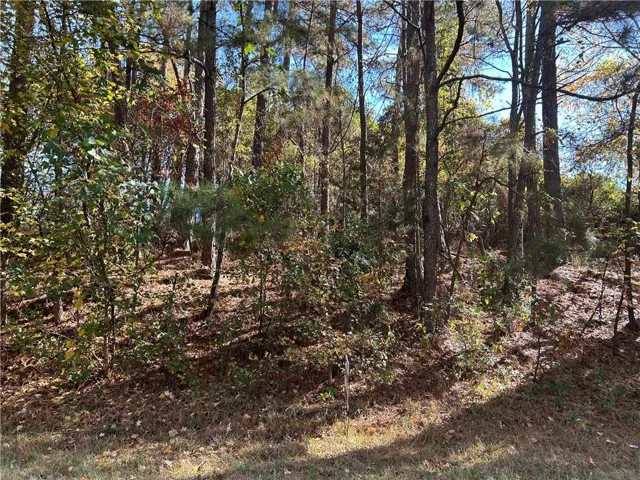 Wooded lot with mature trees and natural foliage