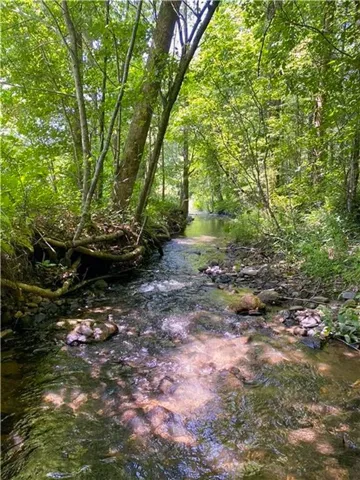 Natural stream with clear, flowing water