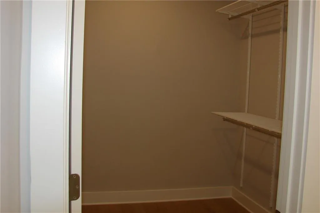 Walk-in primary closet with wood-style flooring