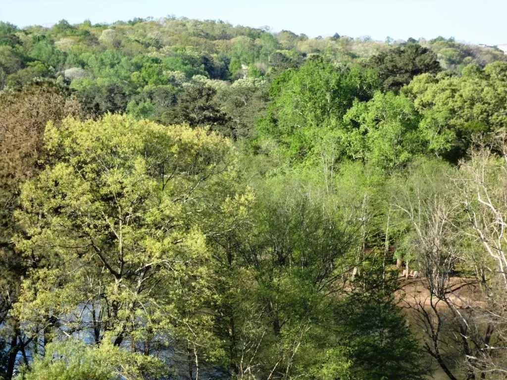 200 River Vista Drive Unit 634, Atlanta, Georgia 30339, 2 Bedrooms Bedrooms, ,2 BathroomsBathrooms,Residential,Sold,200 River Vista Drive Unit 634,5681235