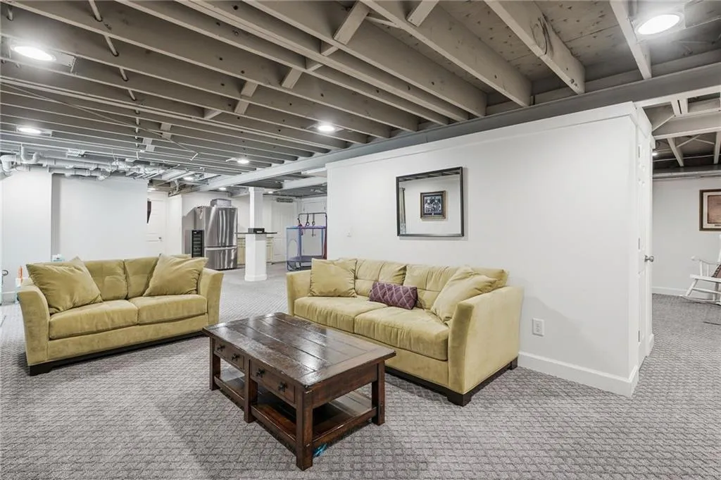 Basement Living Room