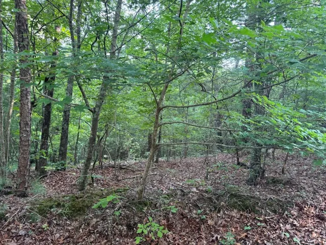 793 Woodbine Lane, Ranger, Georgia 30734