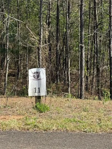 0 Eastview Trail, Ellijay, Georgia 30536