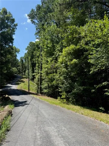 Paved road with natural landscaping featuring abundant mature trees