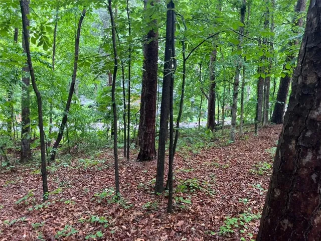 0 Lake Club Drive, Lavonia, Georgia 30553