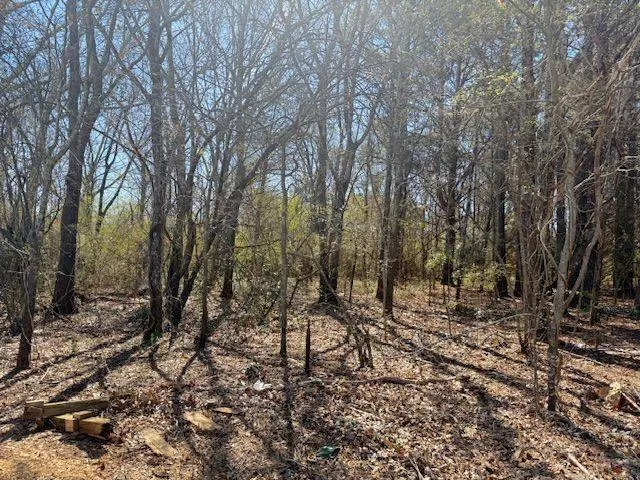 0 Mcdonough Parkway, Mcdonough, Georgia 30253