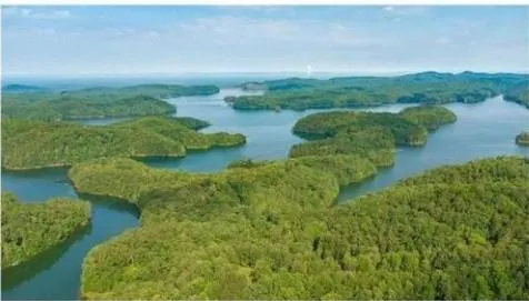 0 Carter View Drive, Ellijay, Georgia 30540