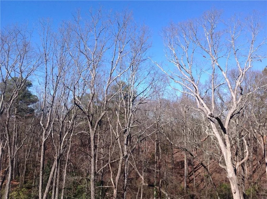 51 Winslow Street Unit 26, Sandy Springs, Georgia 30328, 4 Bedrooms Bedrooms, ,4 BathroomsBathrooms,Residential,Sold,51 Winslow Street Unit 26,5796803