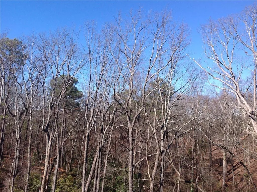 51 Winslow Street Unit 26, Sandy Springs, Georgia 30328, 4 Bedrooms Bedrooms, ,4 BathroomsBathrooms,Residential,Sold,51 Winslow Street Unit 26,5796803