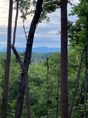 Lt 132 Red Oak Trail, Ellijay, Georgia 30540