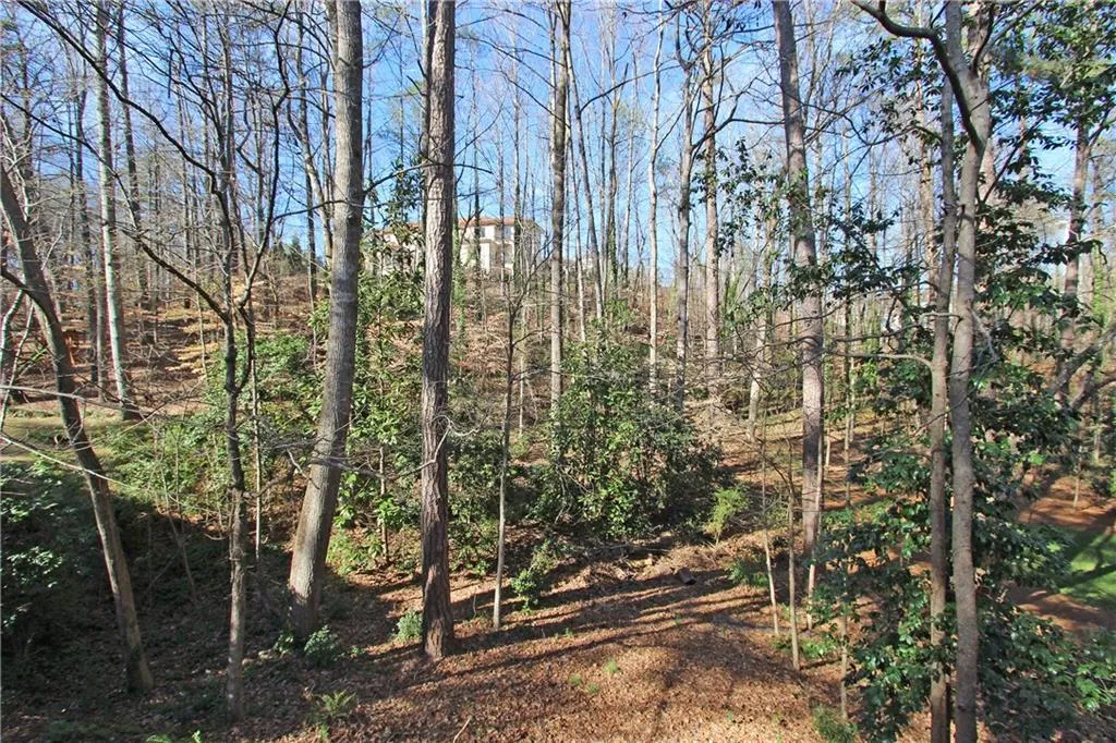 6030 Blackwater Trail, Atlanta, Georgia 30328, 4 Bedrooms Bedrooms, ,3 BathroomsBathrooms,Residential,Sold,6030 Blackwater Trail,5795582