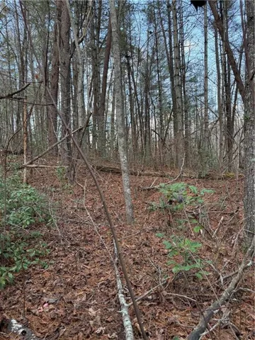 View of nature