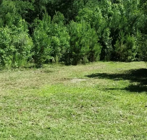 Expansive grassy terrain with a perimeter of mature trees and varied foliage