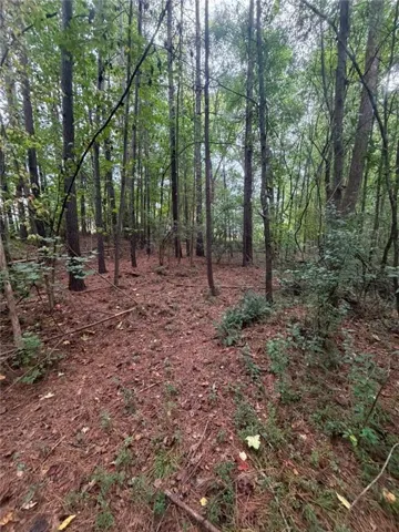 Wooded lot featuring mature trees and a ground cover of pine needles and natural foliage