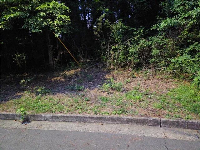 0 Lake Esther Drive, Fairburn, Georgia 30213
