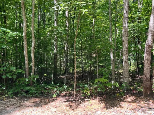 Lot 7 Forest Canopy Way, Clayton, Georgia 30525