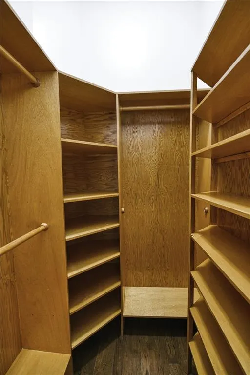 Spacious closet featuring wood finished floors