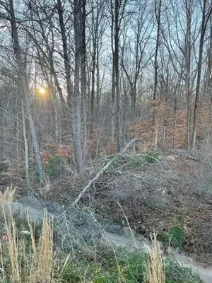 View of mother earth's splendor