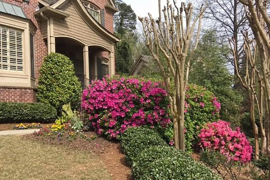 284 Forest Valley Court, Atlanta, Georgia 30342, 5 Bedrooms Bedrooms, ,5 BathroomsBathrooms,Residential,Sold,284 Forest Valley Court,6726834