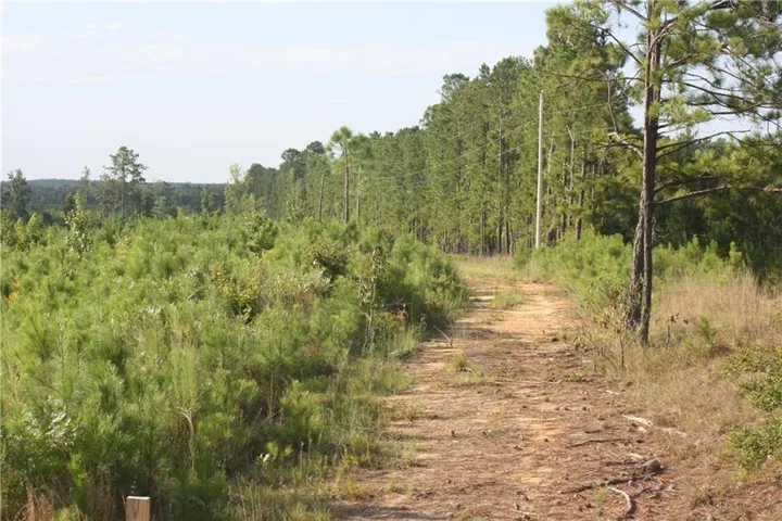 0 Balerma Church Road, Sparta, Georgia 31087