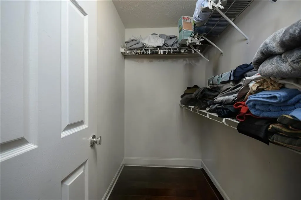 Spacious closet with dark wood-type flooring