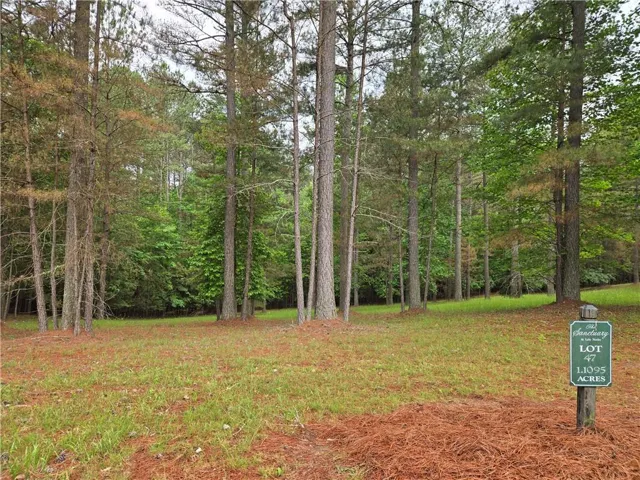 Front of lot