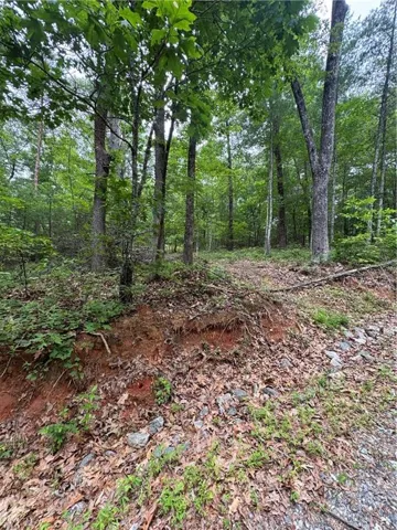 0 Nimblewill Creek Road, Dahlonega, Georgia 30533